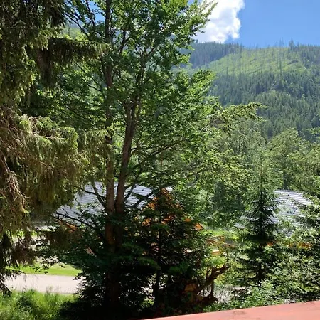 Jelen Chopok Juh-trangoska * Tale