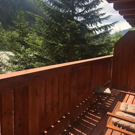 Jeleň Chopok Juh-trangoška * Tale