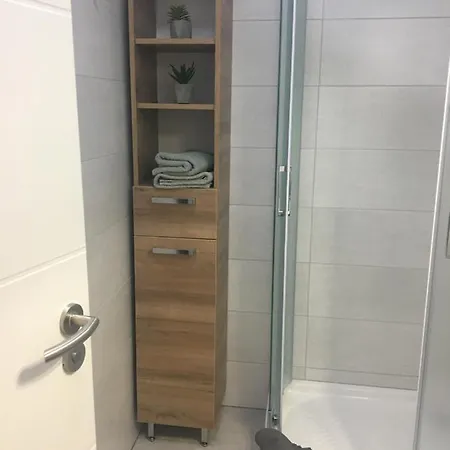 Jelen Chopok Juh-trangoska *