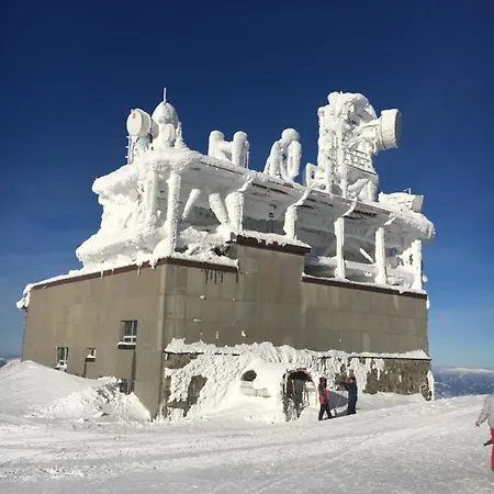 Jelen Chopok Juh-trangoska * Tale