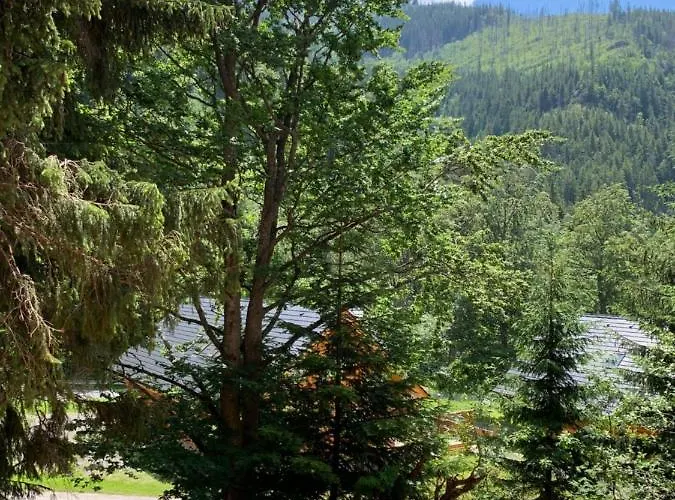 Jelen Chopok Juh-trangoska * Tale